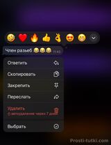 Миниатюра Мужчина Давид ЗИП Фотография 
