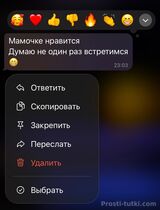 Миниатюра Мужчина Давид ЗИП Фотография 